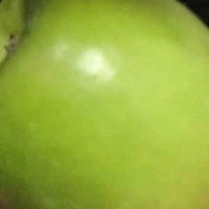 Meet your Posher, TALLY